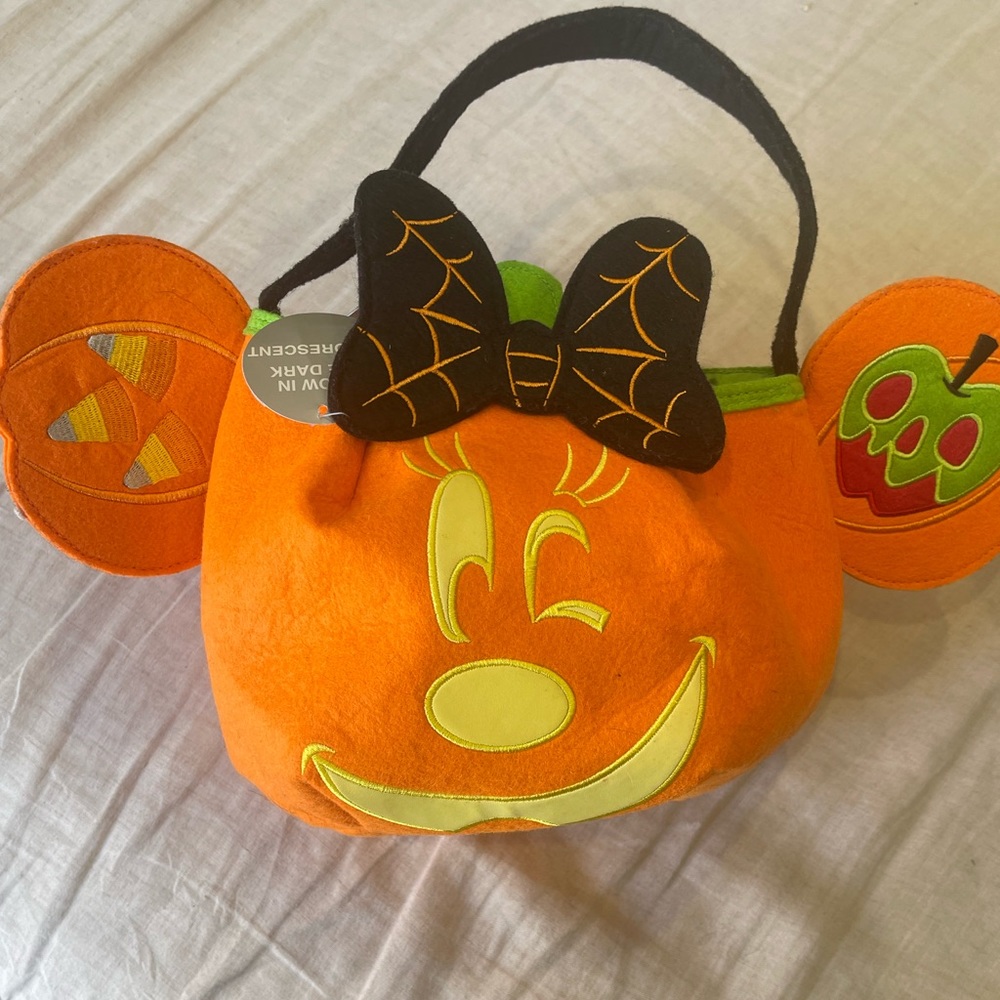 Minnie Mouse trick or treat basket
